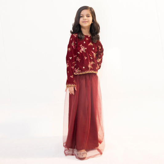 Micro Velvet Shirt Net Lehenga